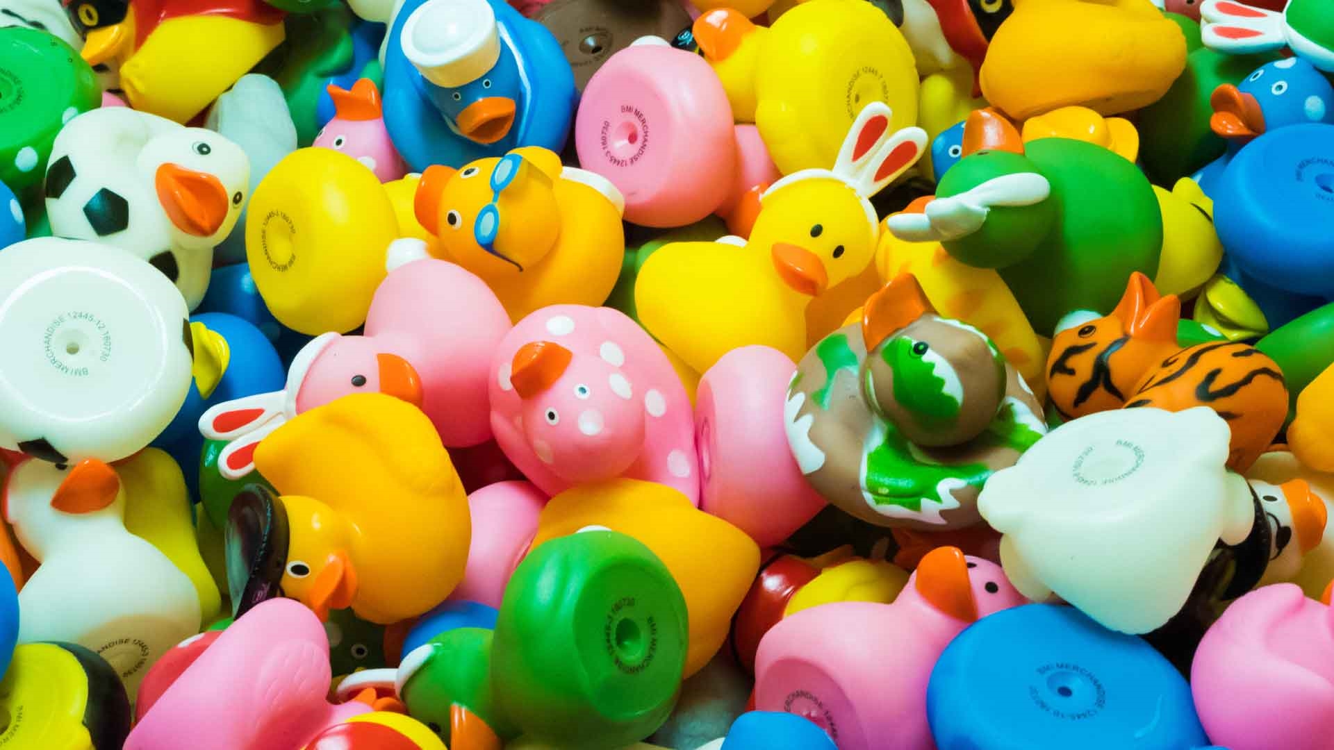 Assorted rubber ducks