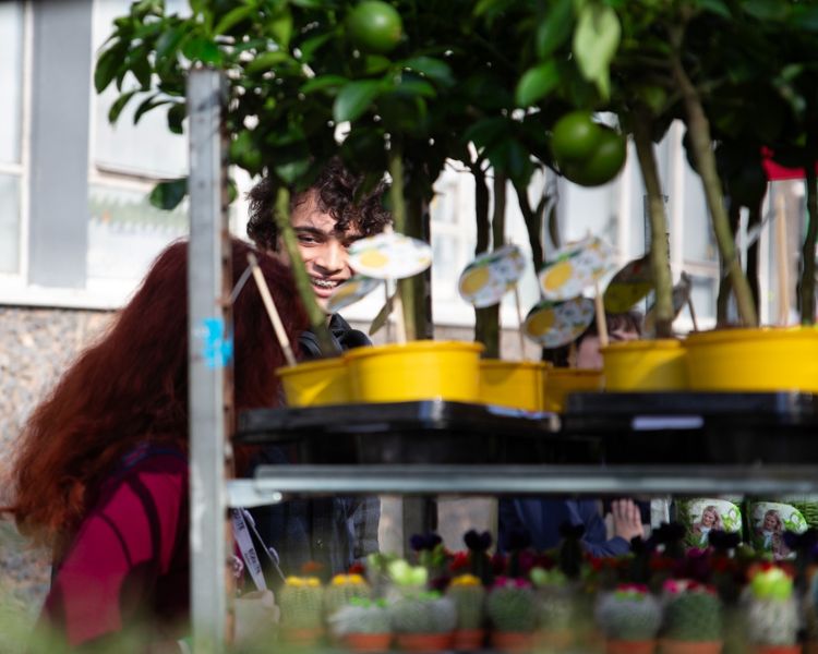 People chatting while browsing plant sale.
