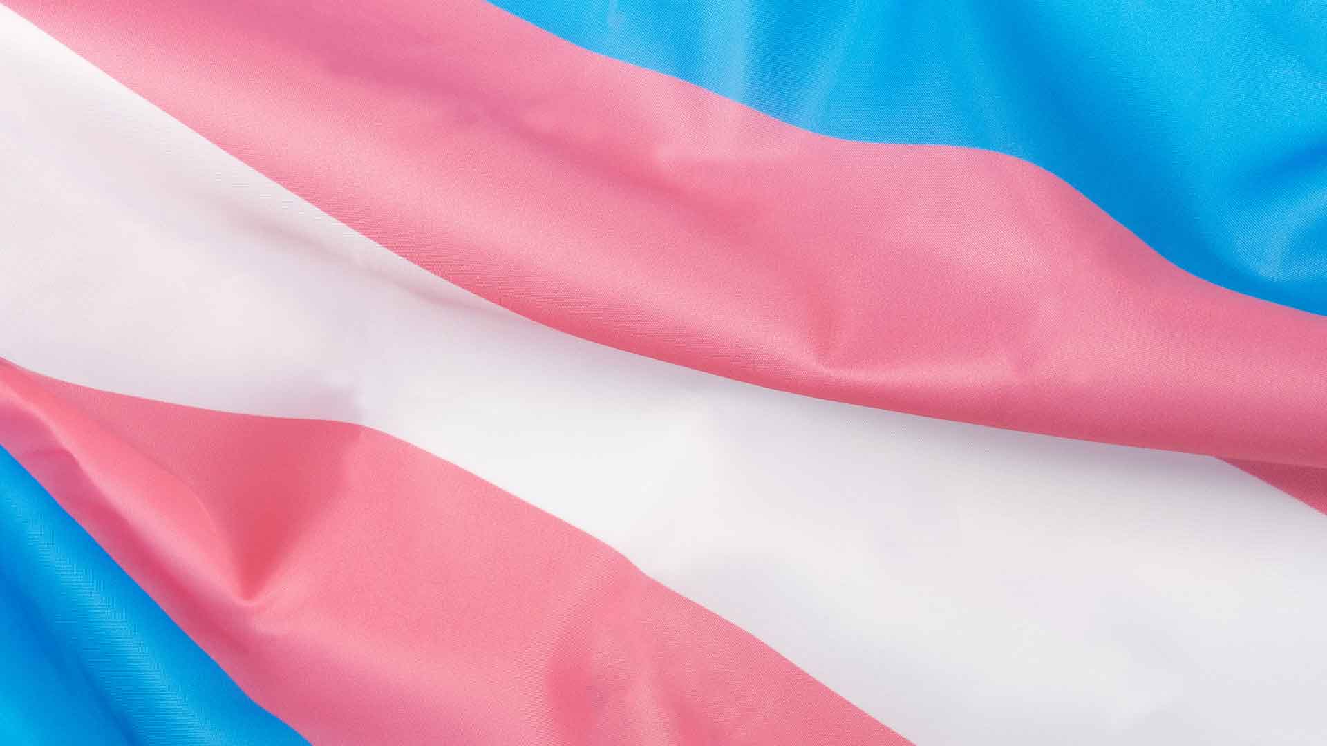 Trans flag